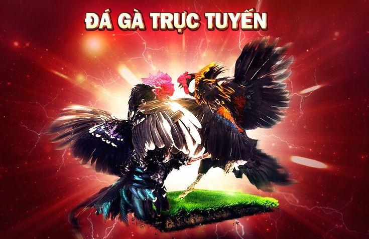 Khám phá bí mật đọc vị nhà cái để đặt cược thành công