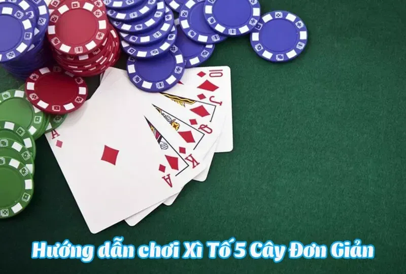 Chiêm nghiệm soi cầu Lô Vip MB để nâng cao cơ hội chiến thắng