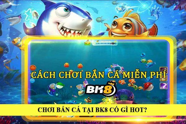 Hướng dẫn tải game đánh bài miễn phí và trải nghiệm tải game đánh bài hấp dẫn nhất 2024